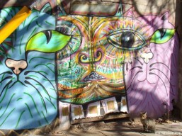 mondo-lila-interview-buenos-aires-street-art-buenosairesstreetart.com-graffiti-tour-buenos-aires